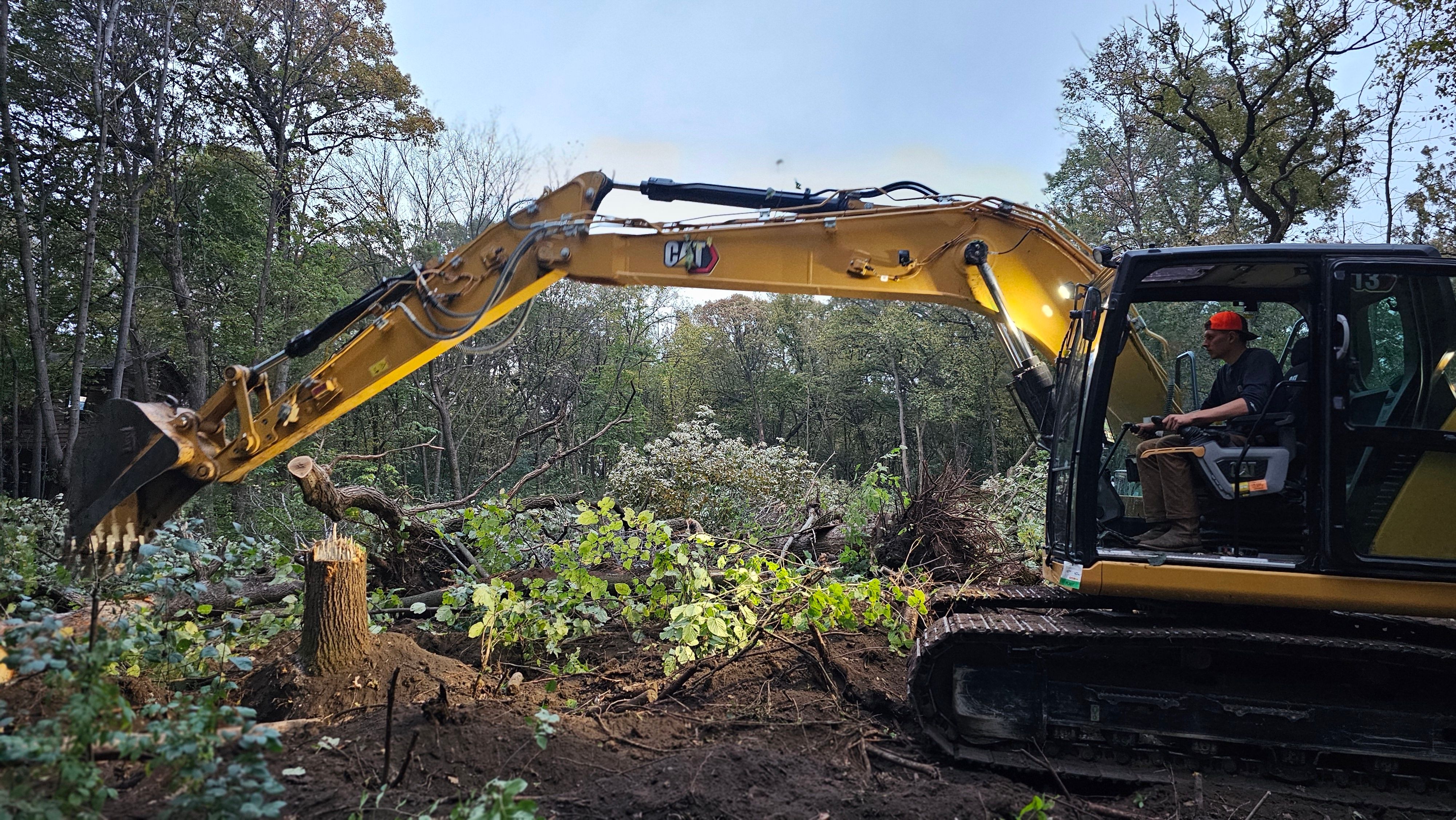Land clearing in progress